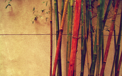 bamboo.png